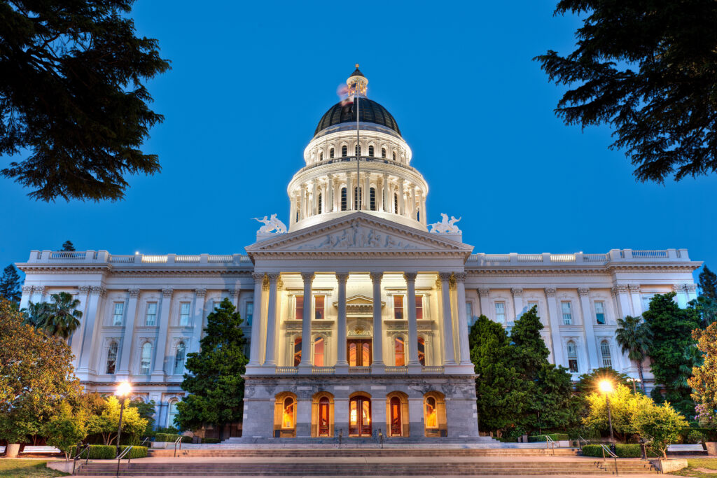 California small business owner filing Statement of Information on laptop
