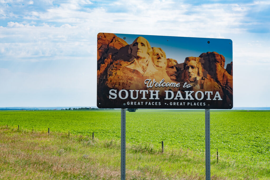 Small business owner completing a fast South Dakota annual report filing on a laptop.