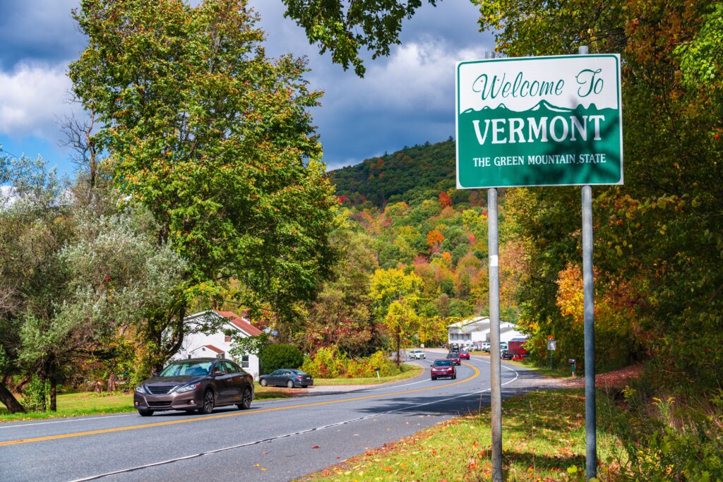 Small business owner completing a fast Vermont annual report filing on a laptop.