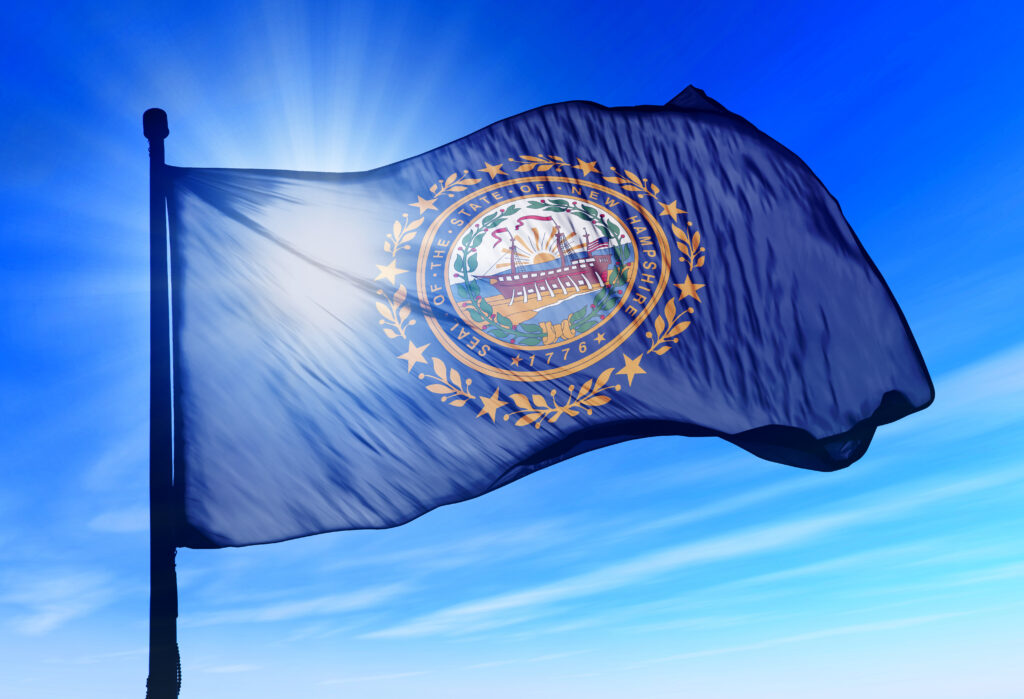 Small business owner filing their 2026 New Hampshire annual report online