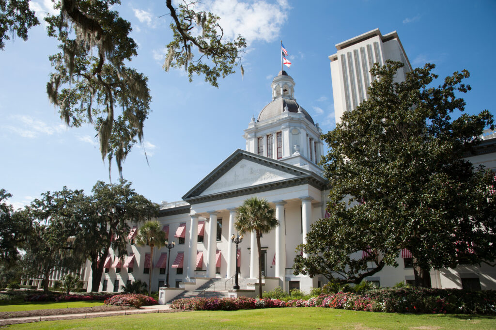 Florida small business owner sitting at a desk using a laptop to manage annual report filings