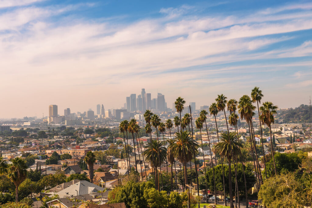 Los Angeles small business owner reviewing compliance documents in a bright office