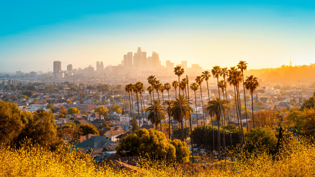 Los Angeles business owner filing the Statement of Information online