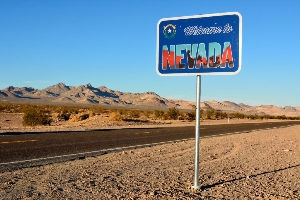 Small business owner reviewing Nevada Annual List and Business License filing details on a laptop